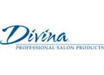 Divina Tech company logo