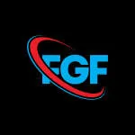 FGF CONTADORES LTDA company logo