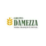 GRUPO DAMEZZA company logo