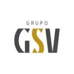 GRUPO GSV company logo