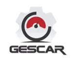 Gecar Consultoria company logo