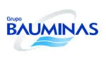 Grupo BAUMINAS company logo