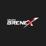 Grupo Brenex company logo