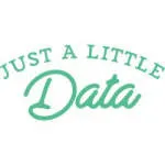 Just a Little Data company logo