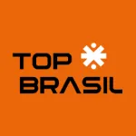 LED TOP BRASIL company logo