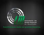 LM CONSULTORIA company logo