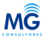 MG Consultoria company logo