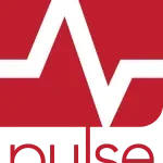 Pulse Consultoria company logo