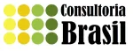 RT BRASIL CONSULTORIA company logo