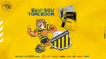 Rede Tigre do Vale company logo