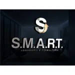 SMART Consultoria e Assessoria Empresarial company logo