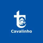 TRANSPORTES CAVALINHO LTDA company logo