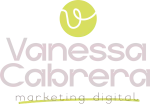 Vanessa Mara Consultoria company logo