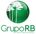 GRUPO RB company logo