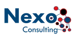 NEXO CONSULT company logo