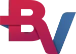 banco BV company logo