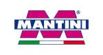 Grupo Mantini company logo