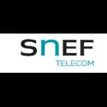 SNEF ENERGIA E TELECOMUNICACOES LTDA company logo